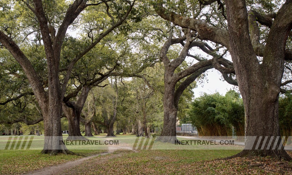 Audubon Park New Orleans