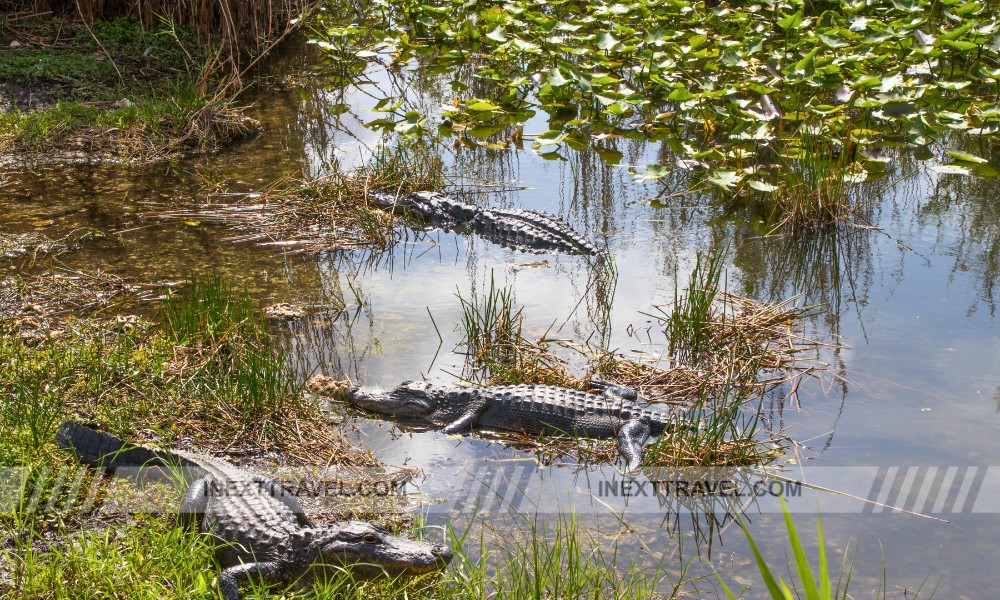 Everglades National Park