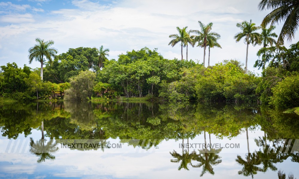 Fairchild Tropical Botanic Garden Miami