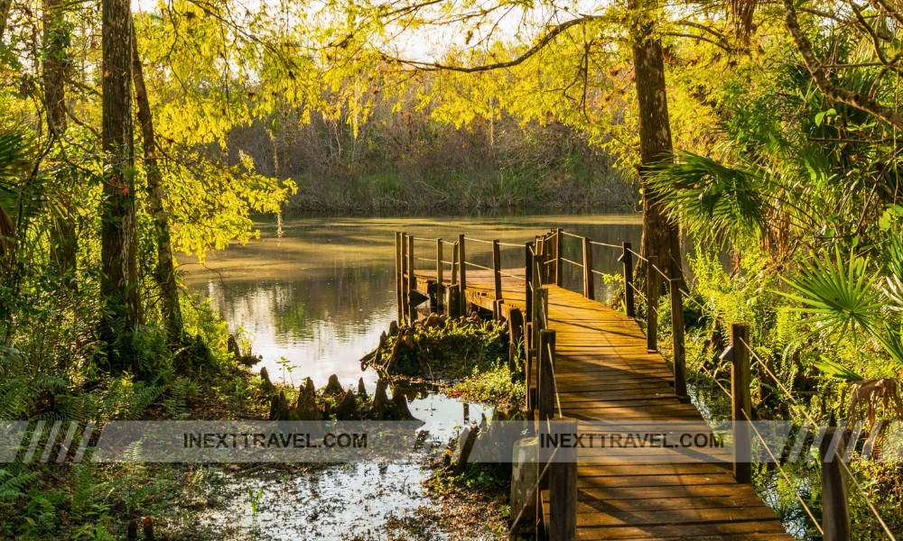 Fakahatchee Strand Preserve State Park