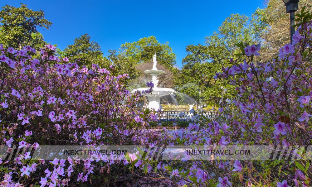 Forsyth Park Savannah