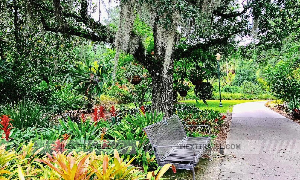 Harry P. Leu Gardens Orlando