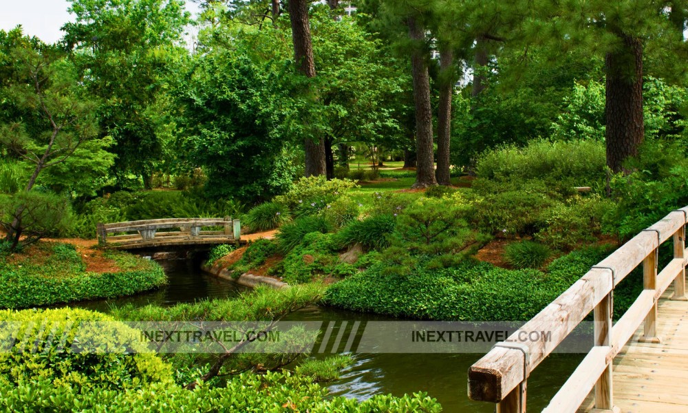 Japanese Garden in Hermann Park Houston