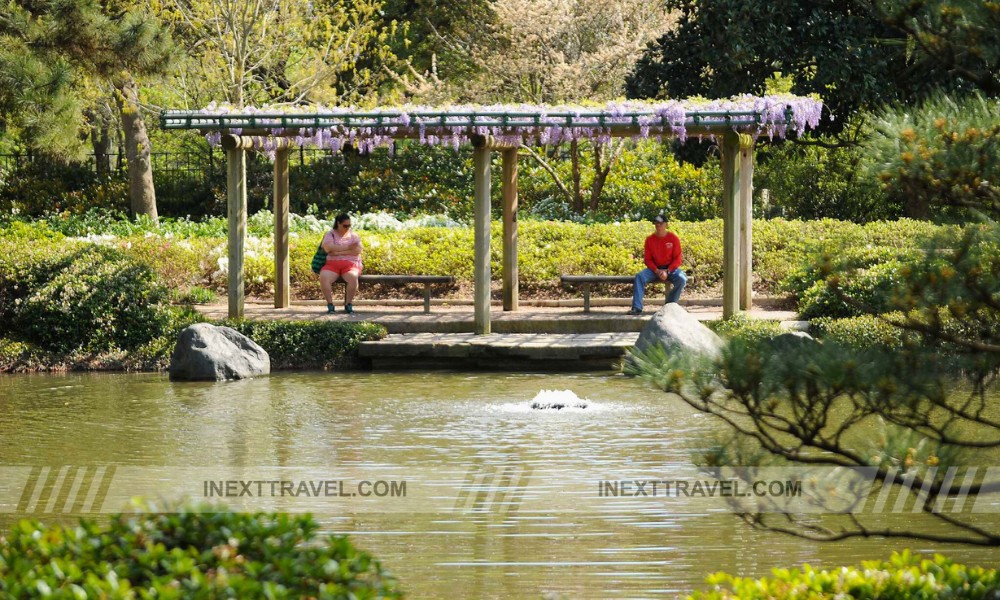 Japanese Garden in Hermann Park Houston