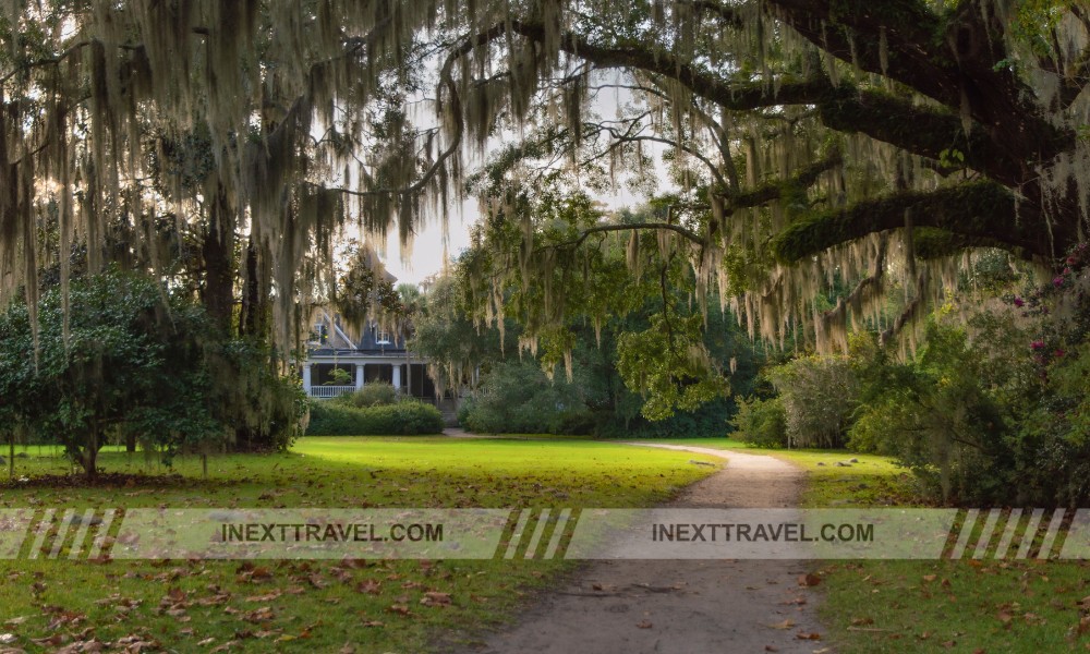 Magnolia Plantation and Gardens Charleston 