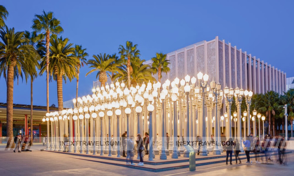 The Los Angeles County Museum of Art (LACMA)