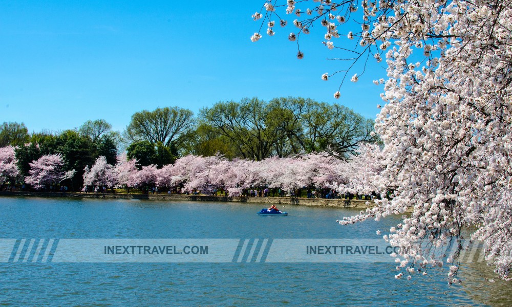 Tidal Basin Washington, DC