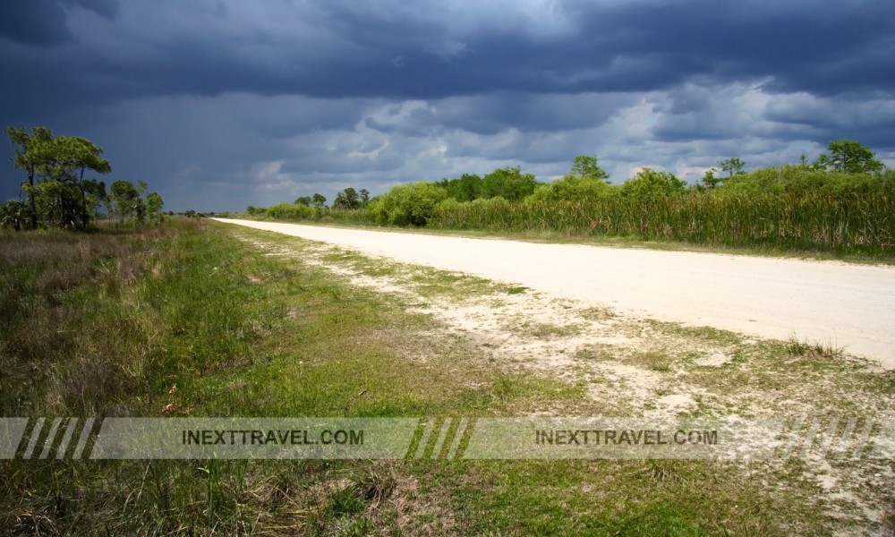 Turner River Road Everglades City