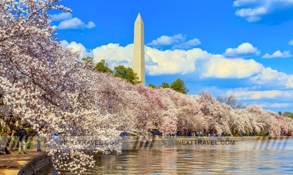 Washington Monument and the National Mall