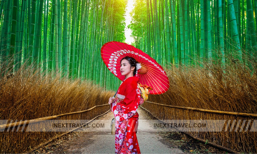 Arashiyama Bamboo Forest, Kyoto