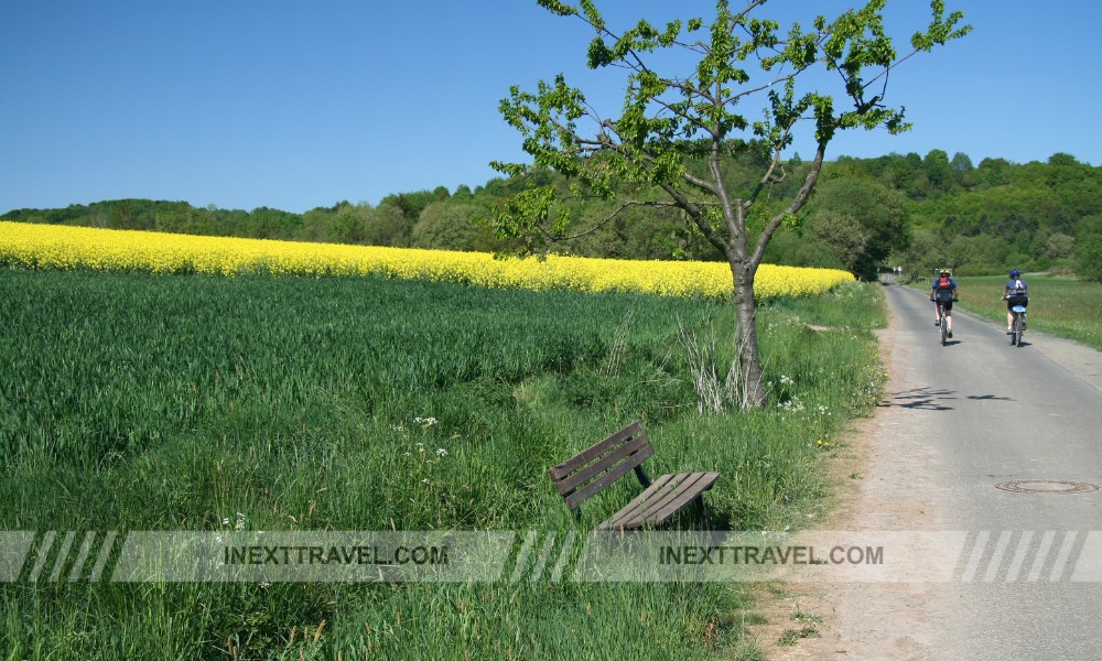 Cycle Through the Scenic Countryside