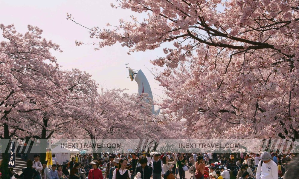 Expo ’70 Commemorative Park Osaka