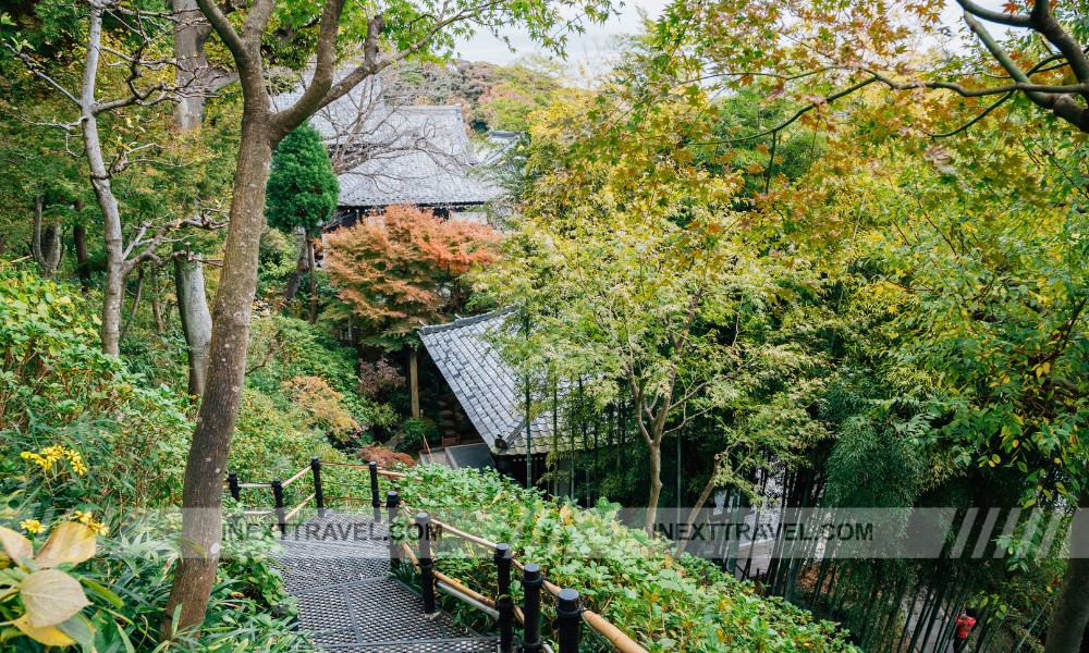 Hasedera Temple Kamakura 