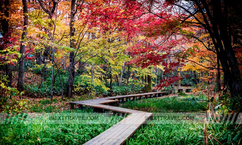 Hokkaido University Botanical Gardens