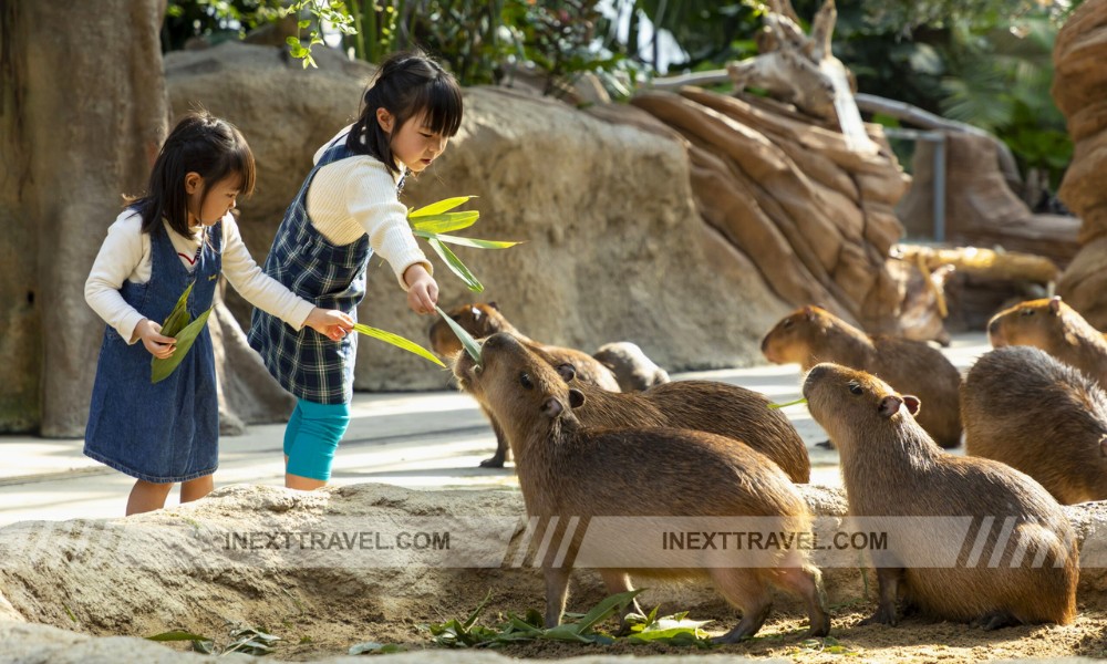 Kobe Animal Kingdom