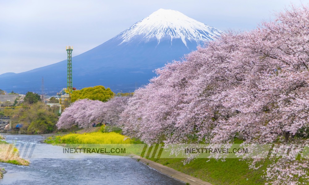 Mount Fuji (View from Tokyo)