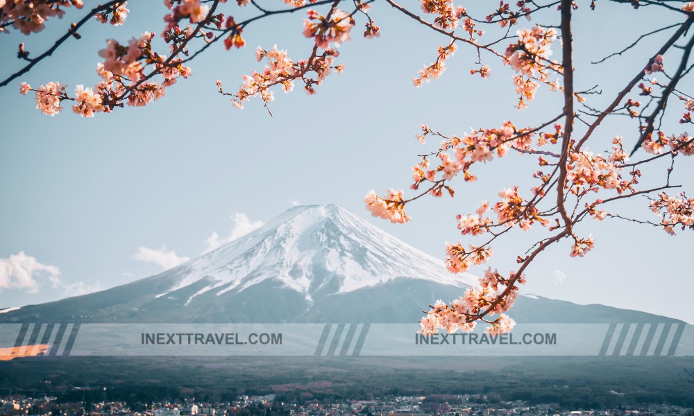 Mount Fuji (View from Tokyo)