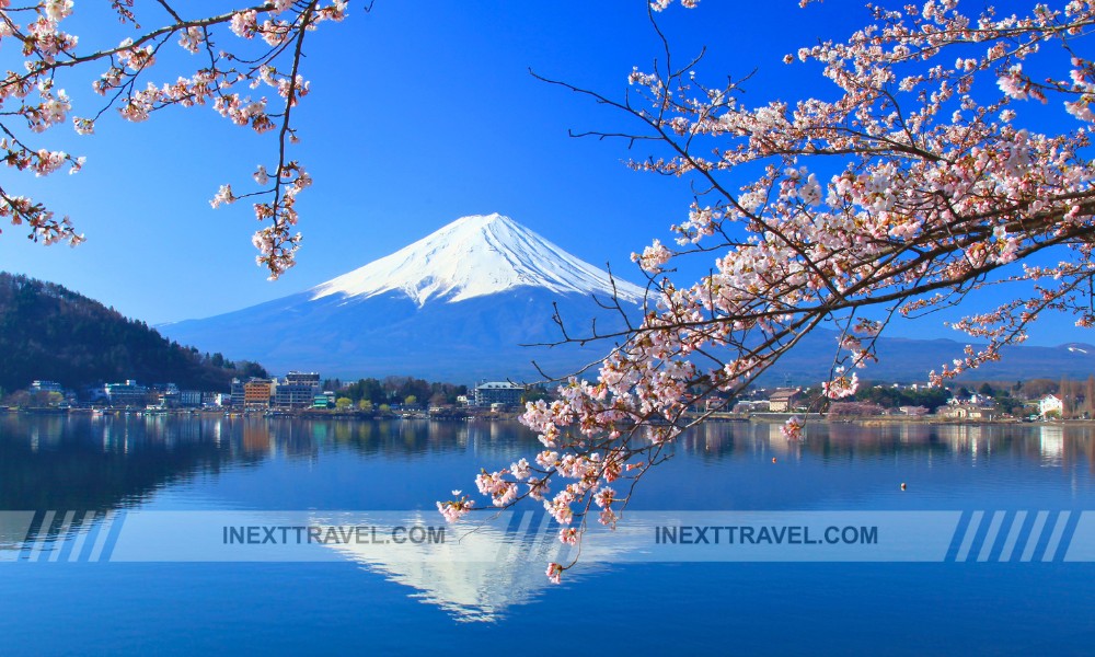 Mount Fuji (View from Tokyo)