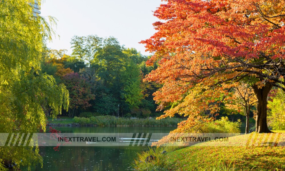 Nakajima Park Sapporo