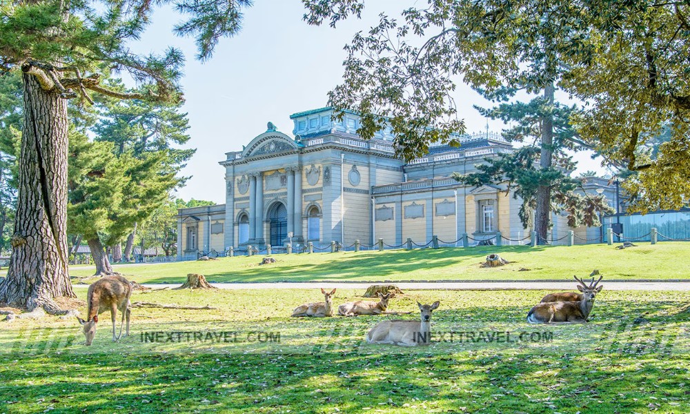 Nara National Museum