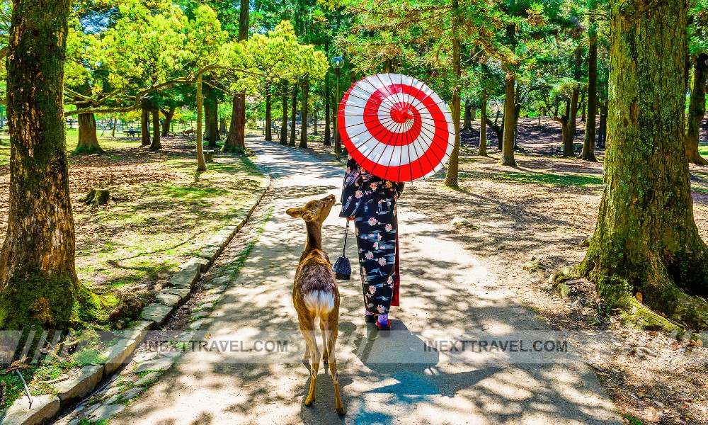 Nara Park