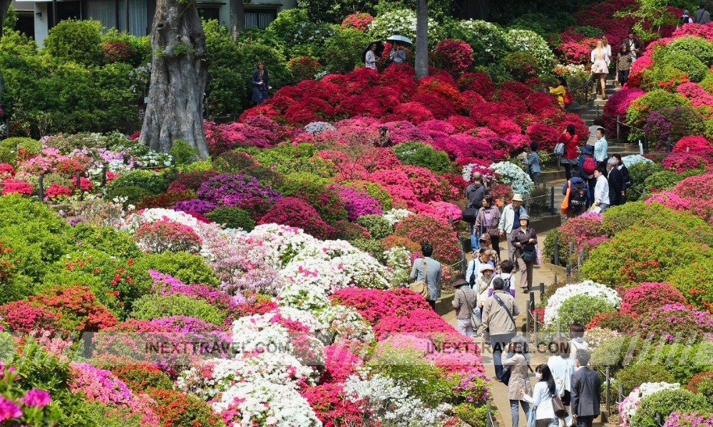 Nezu Shrine Taito City