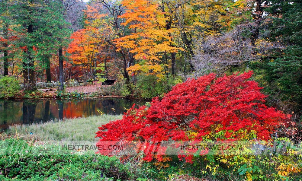 Nikko Botanical Garden