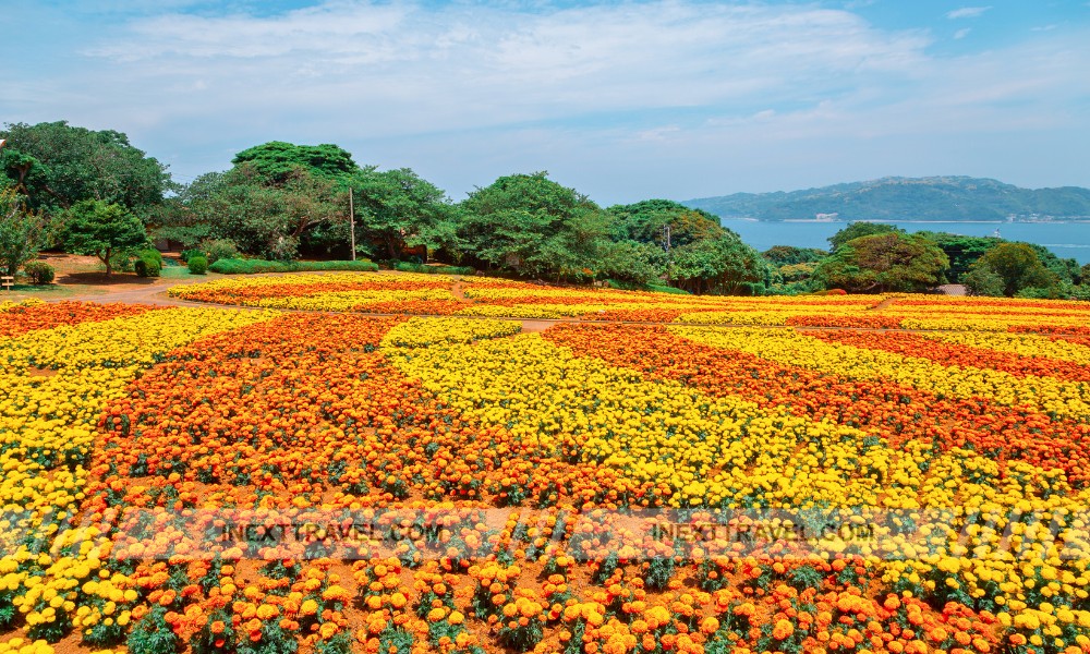 Nokonoshima Island Park Fukuoka