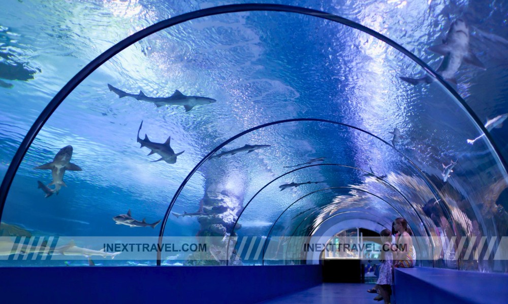 Osaka Aquarium Kaiyukan