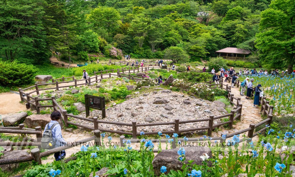 Rokko Alpine Garden Kobe