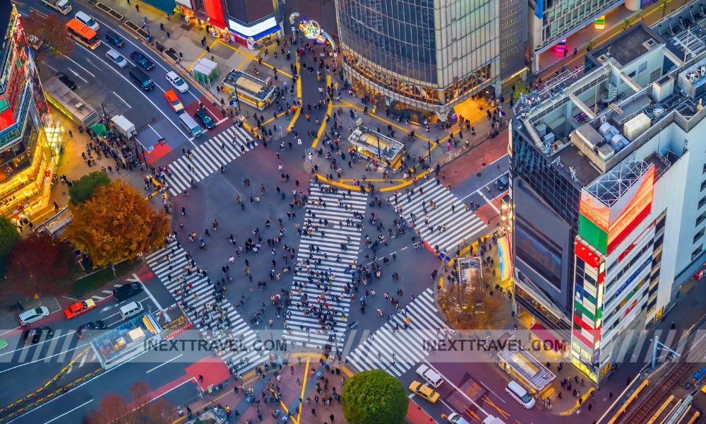 Shibuya Crossing Tokyo