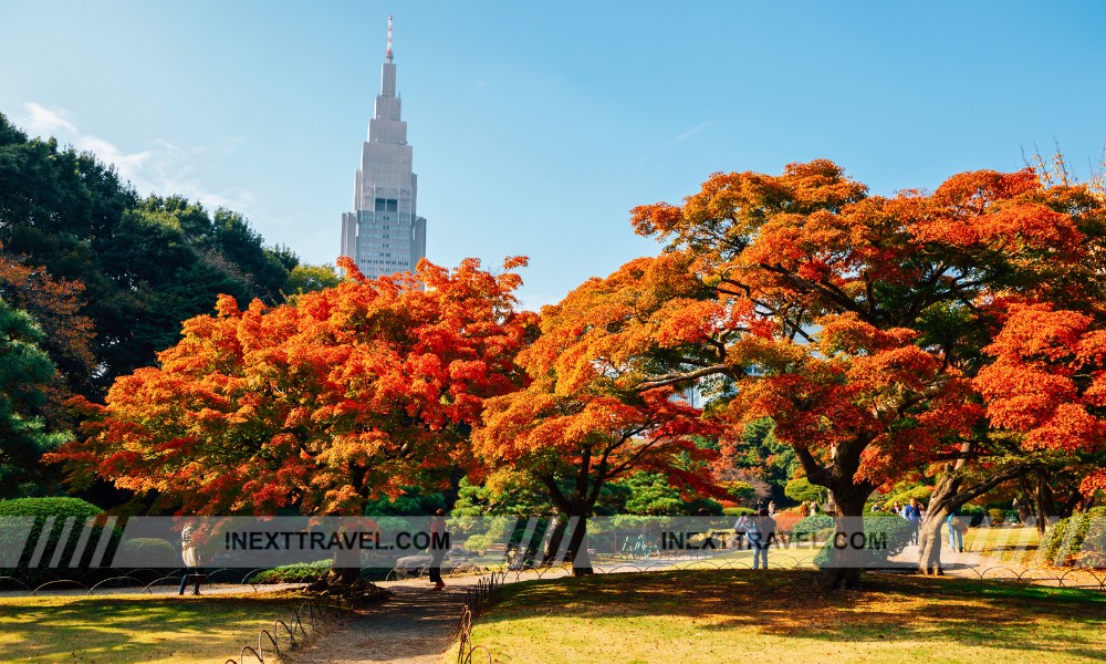 Shinjuku Gyoen National Garden Tokyo