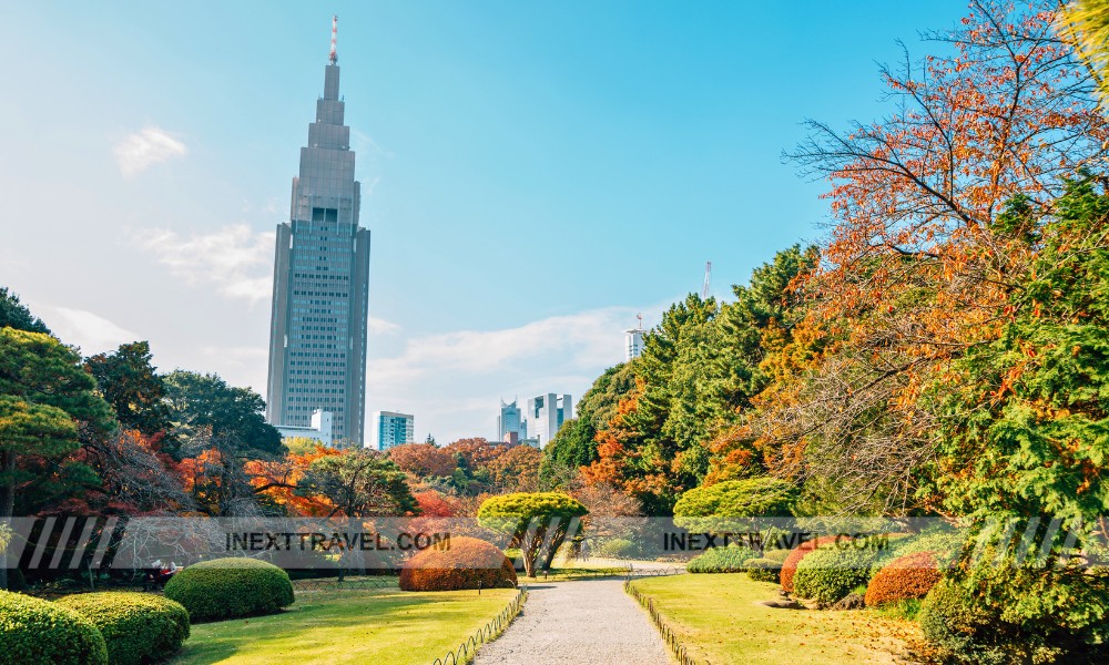 Shinjuku Gyoen Tokyo Japan