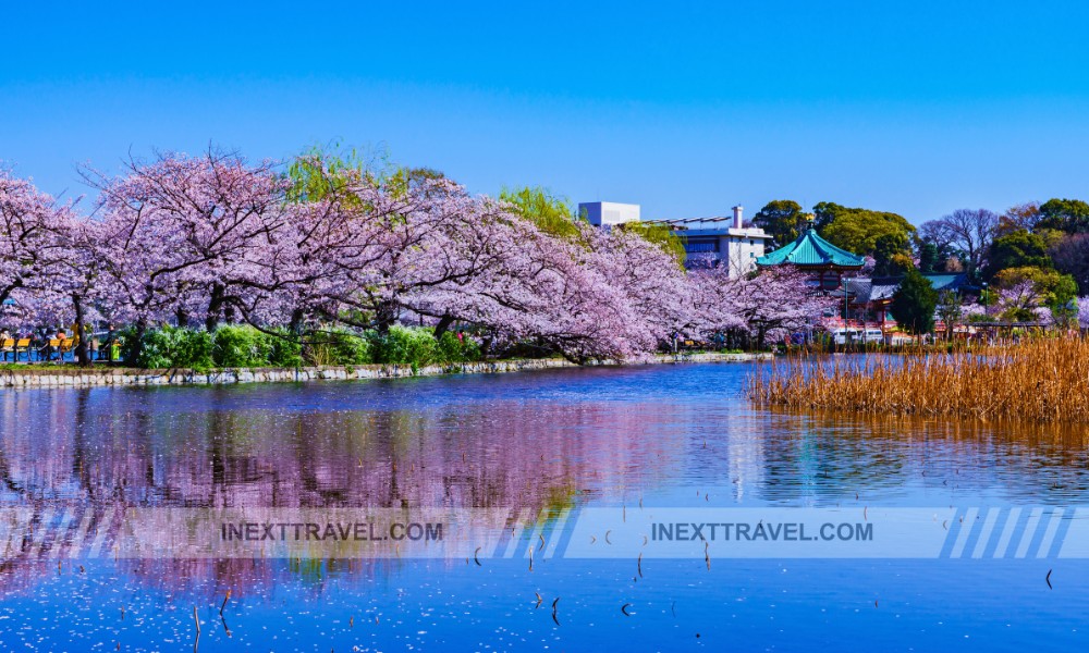 Ueno Park Tokyo