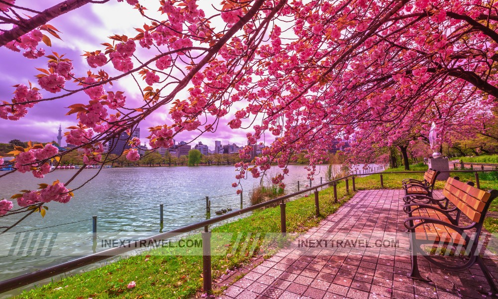 Ueno Park Tokyo