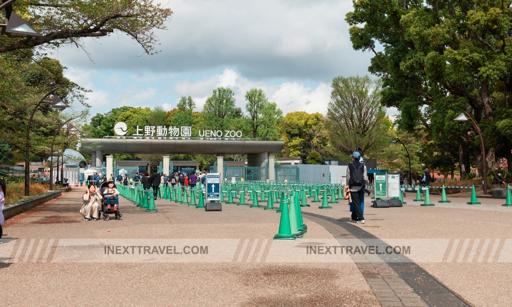 Ueno Zoo Tokyo