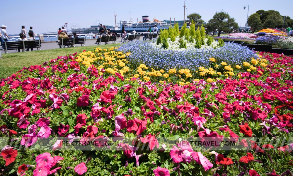 Yamashita Park Yokohama