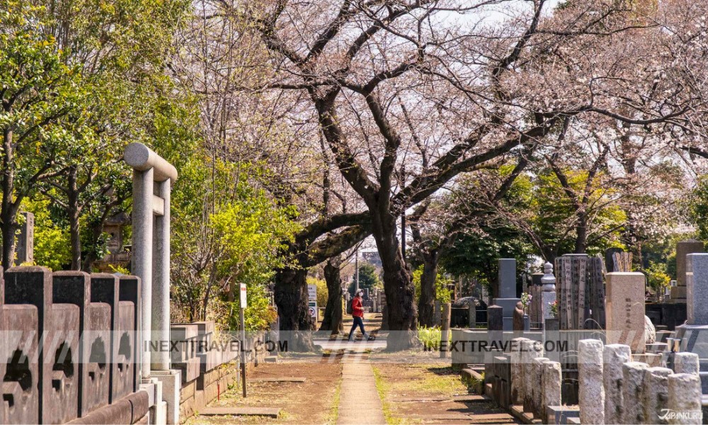 Yanaka Cemetery Taito City